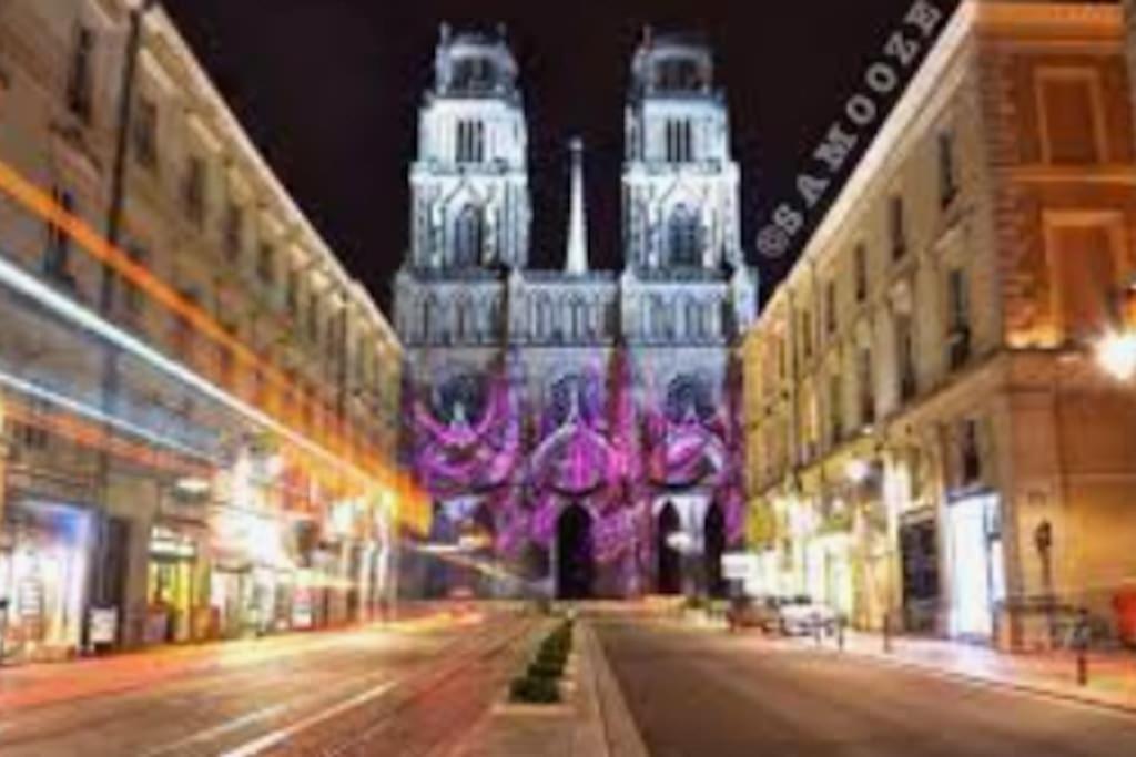 Chaleureux Appart, Proche De La Loire Avec Parking Orleans Exterior photo
